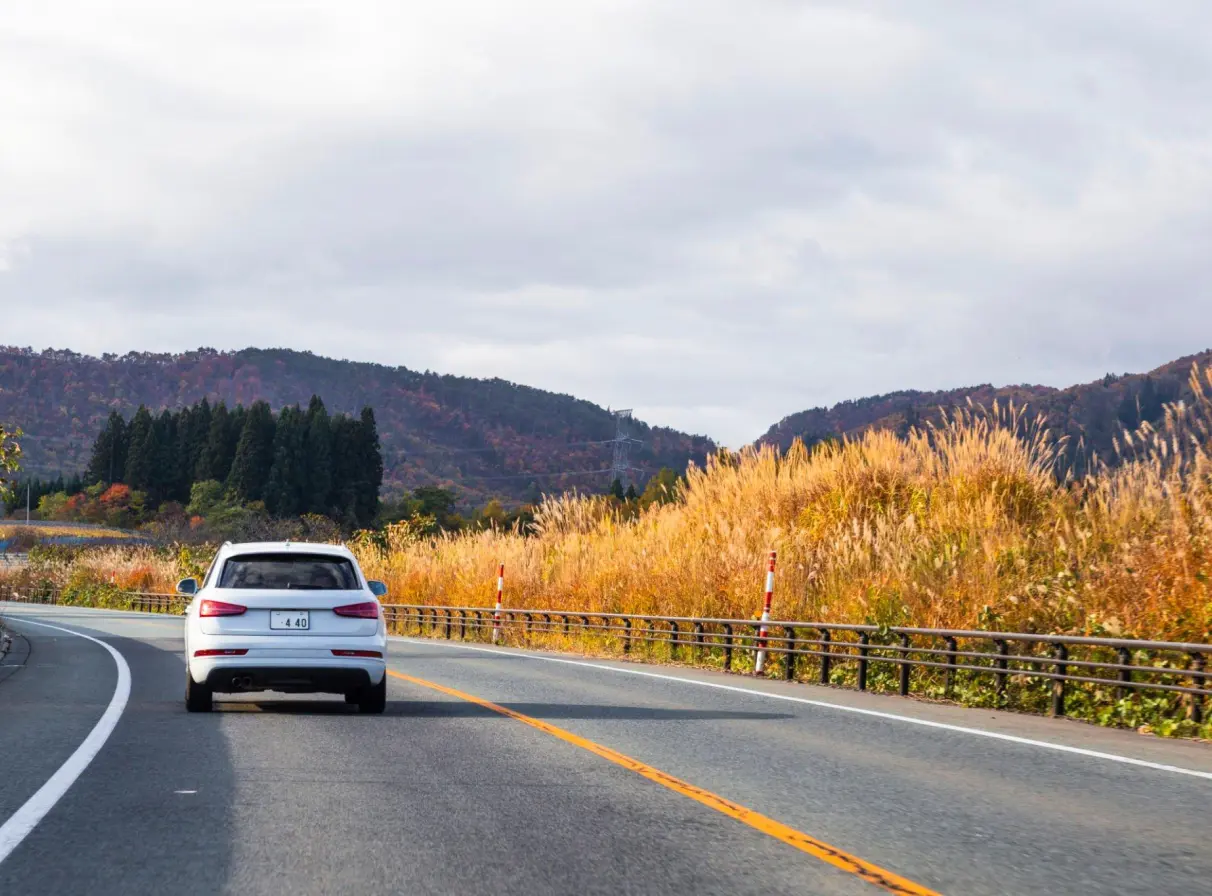 Ajjas Wired Device: Track your Car / Locate your Car